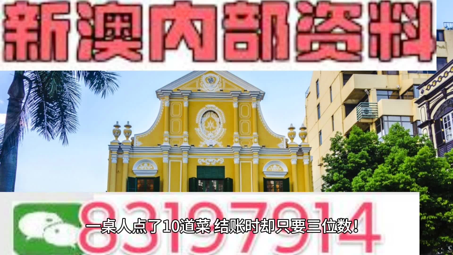 新澳2024年精准资料33期,新澳2024年精准资料33期深度解析