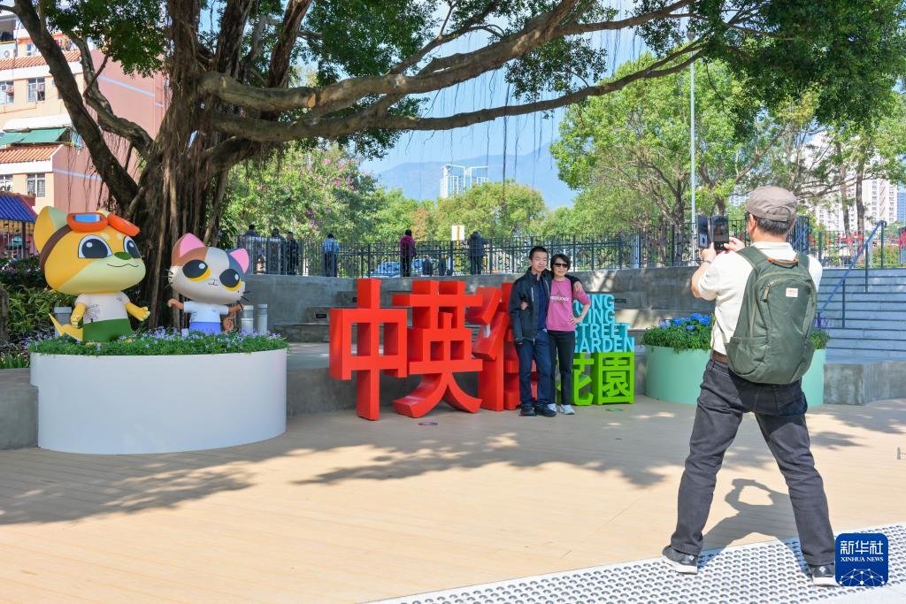 香港资料大全正版资料图片,香港资料大全正版资料图片，深度探索香港的多元魅力