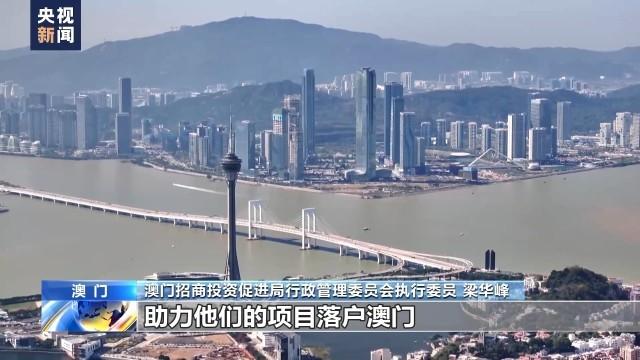 2024年澳门特马今晚,探索澳门特马文化，2024年的今晚