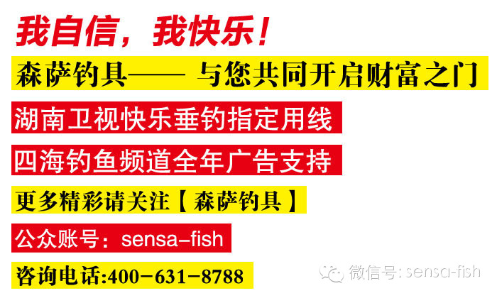 新奥门免费资料的注意事项,新奥门免费资料的注意事项